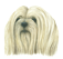 (image for) Lhasa Apso Small Calendar Holder